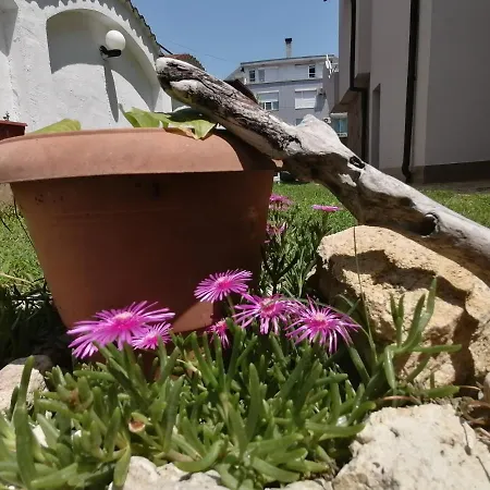 Siana House Guest house