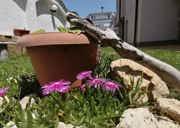 Siana House 招待所