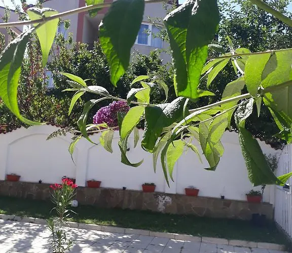 招待所 Siana House 拉夫达