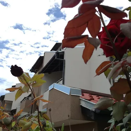 게스트하우스 Siana House 라브다