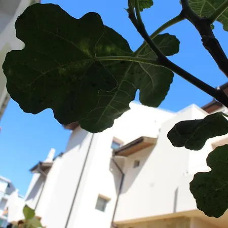 Maison d'hôtes Siana House