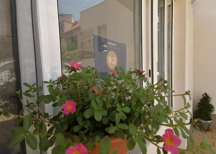 Siana House 3* רבדה