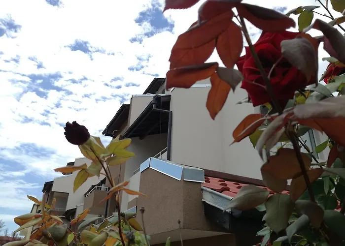 בית הארחה Siana House רבדה