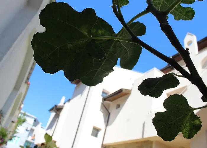 בית הארחה Siana House