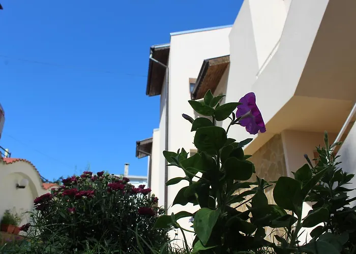 Siana House רבדה