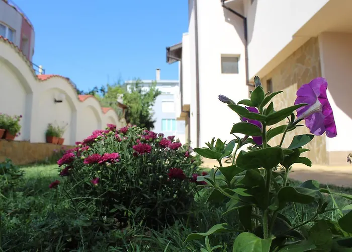 Siana House בית הארחה